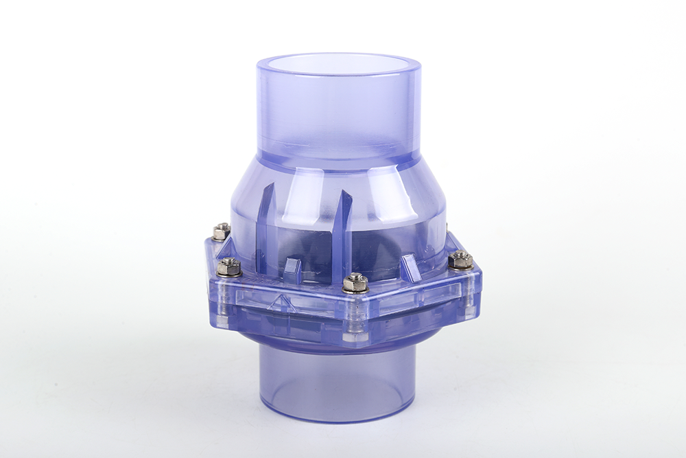 昭平透明翻板式止回阀